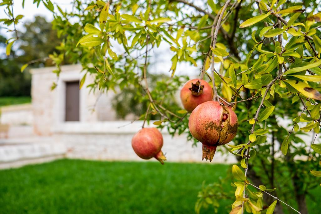 Masseria Paretano Alberobello Exterior photo